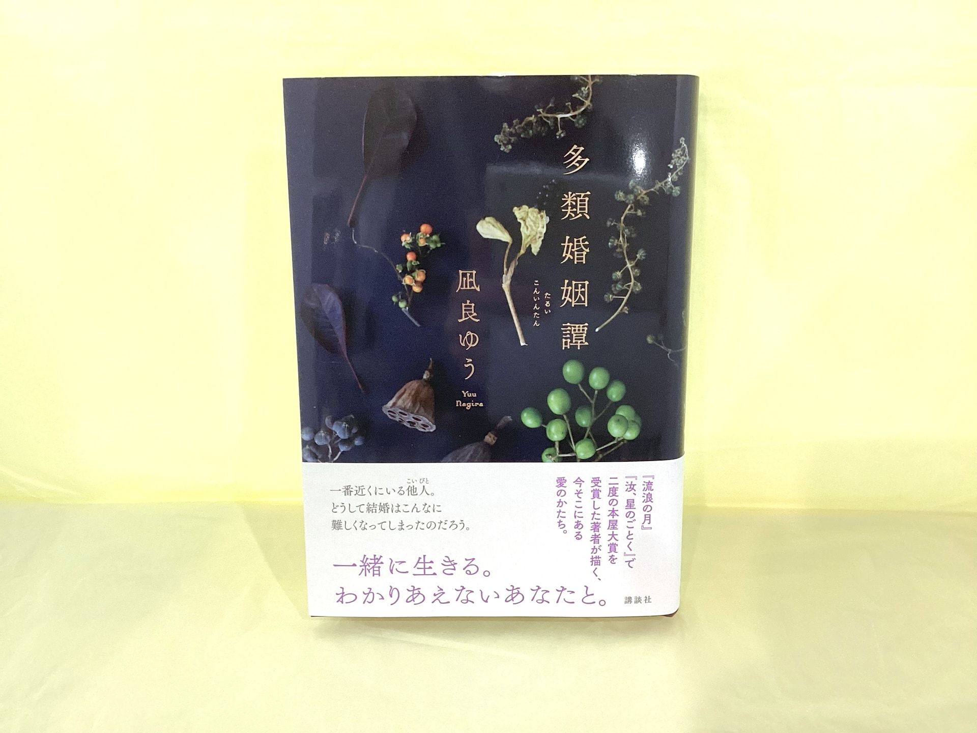 多類婚姻譚_凪良ゆう