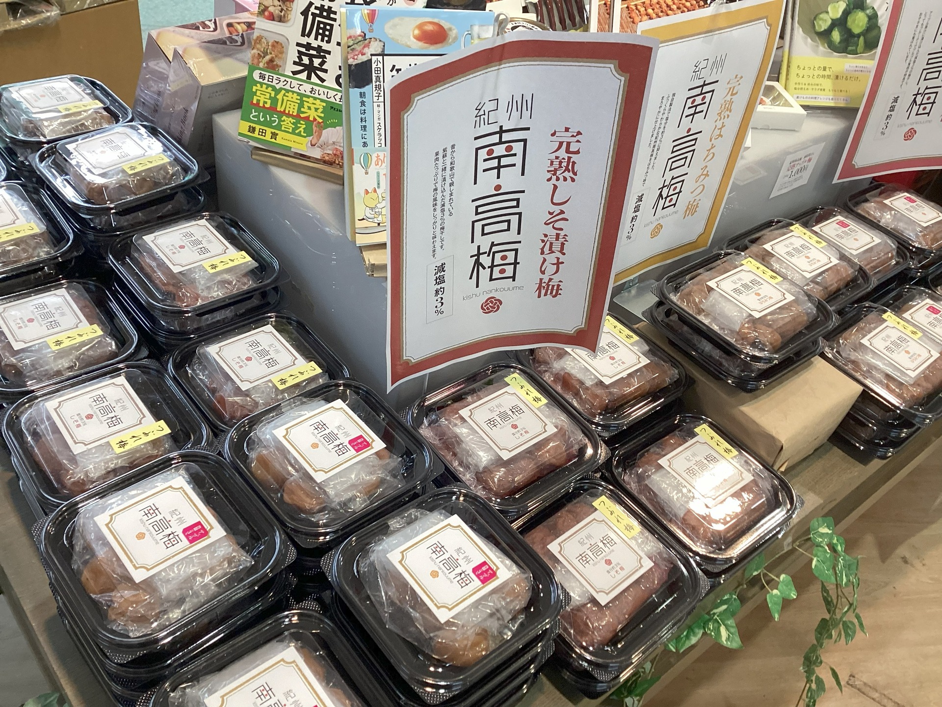 開催中【梅の一冨士】